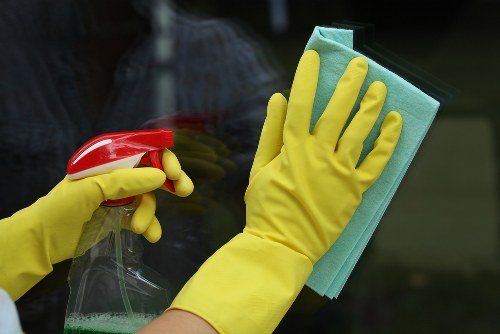 Pet stain odour removal cleaning supplies for carpet and upholstery