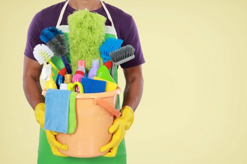 Sofa cleaning in a modern living room