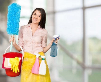 Professional pet odour removal treatment in a living room