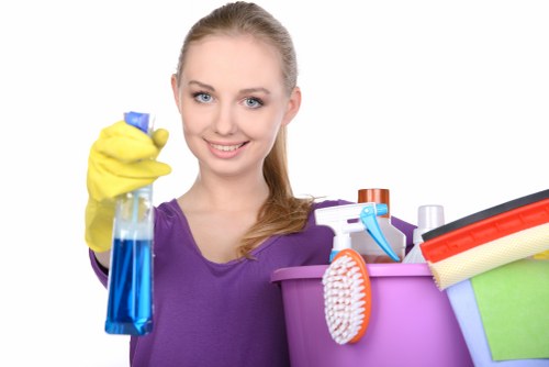 Deep pet stain odour removal on upholstery and carpet surfaces