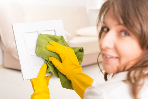 Expert carpet cleaning service improving a refined interior
