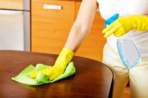 Close-up of stain removal on upholstered furniture